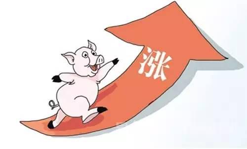 鲜切菜餐饮食材：猪肉价格重新开始启动快速上涨模式