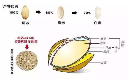 餐饮食材采购:这种油正浩浩荡荡地朝我们走来…… 餐饮食材采购:这种油正浩浩荡荡地朝我们走来……
