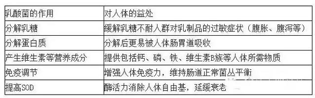 乳酸菌的益处.jpg 乳酸菌的益处.jpg
