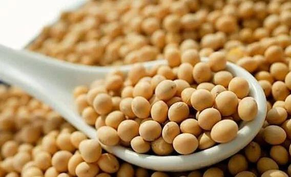 微信图片_20190711084805.jpg 微信图片_20190711084805.jpg